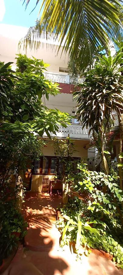 Daphne Hotel Mahábalípuram Exteriér fotografie