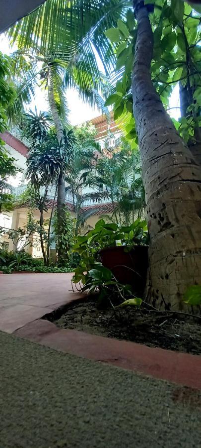 Daphne Hotel Mahábalípuram Exteriér fotografie